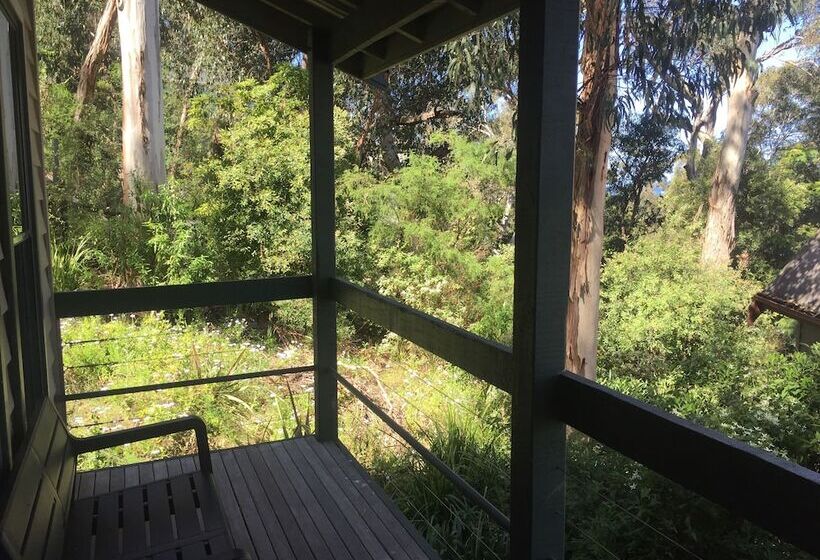 Great Ocean Road Cottages