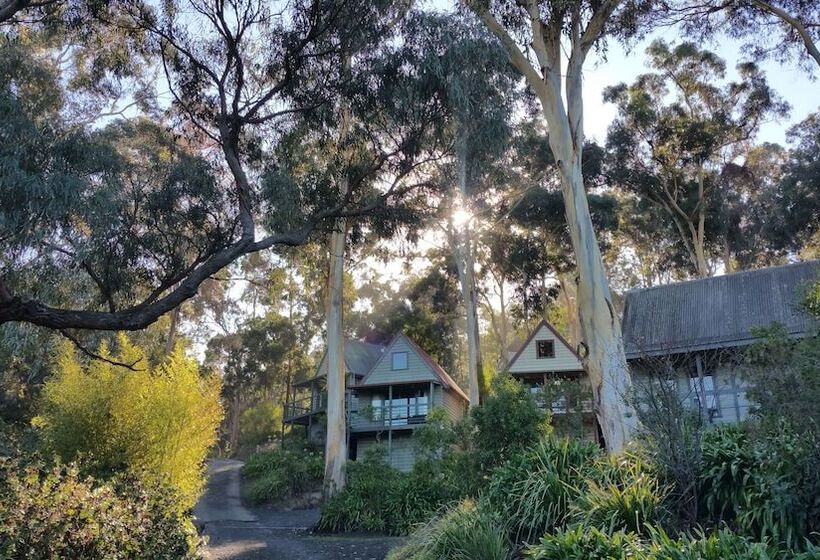 Great Ocean Road Cottages