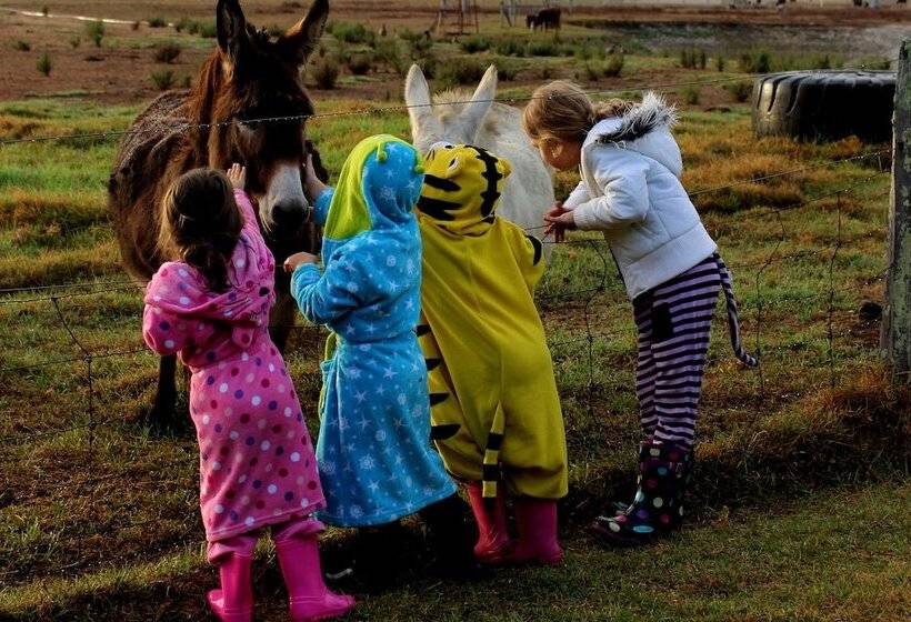 فندق Discovery Parks   Margaret River