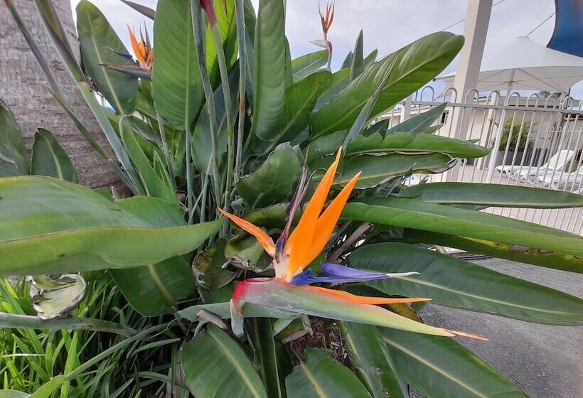 בית מלון כפרי Clyde View Holiday Park