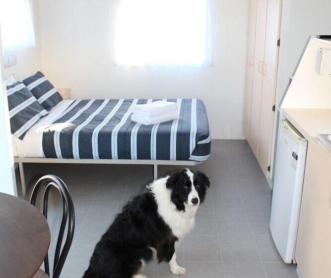 호텔 Golden Terrace Holiday Park