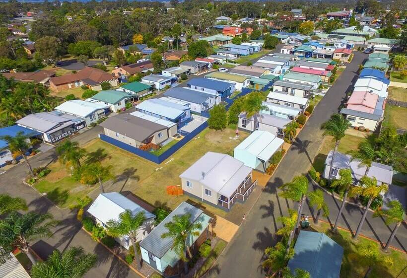 בית מלון כפרי Treehaven Tourist Park