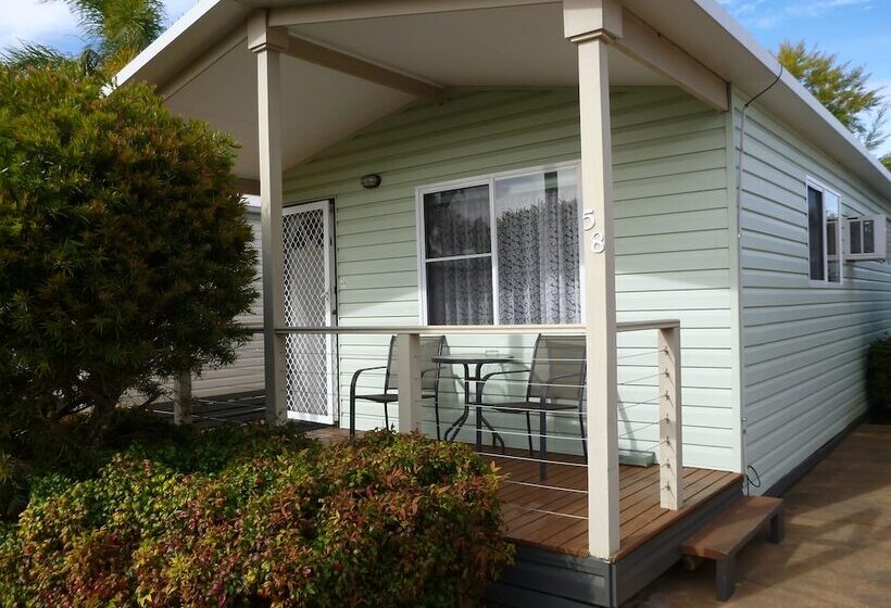 בית מלון כפרי Treehaven Tourist Park