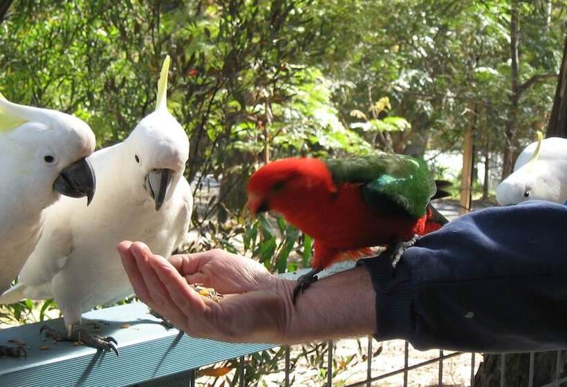 Lorne Bush House Cottages & Eco Retreats