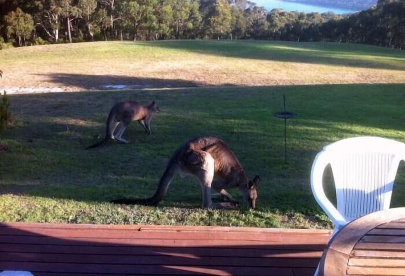 Lorne Bush House Cottages & Eco Retreats