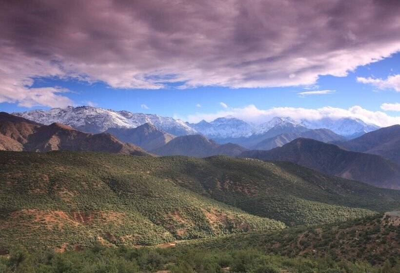 پانسیون Camp Adounia