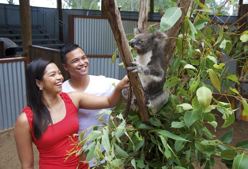 פנסיון Salamander Beach Accommodation Adults Only