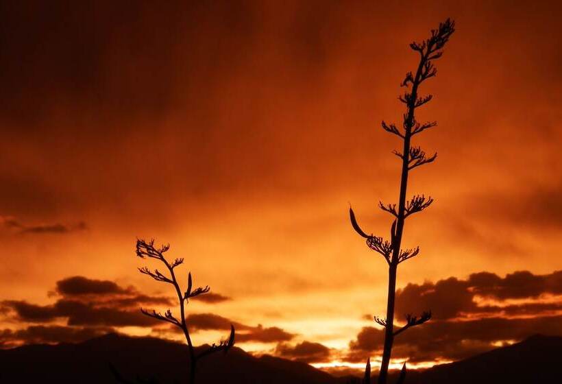 Пансион The Bay Lodge