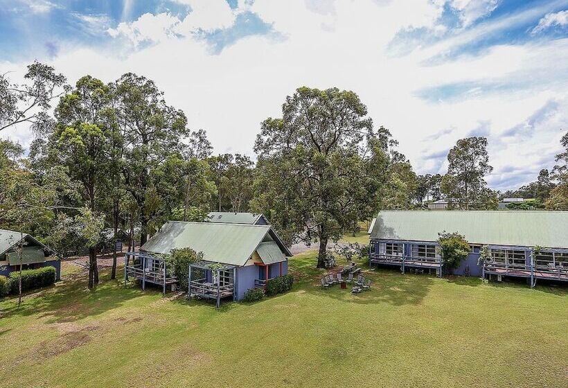 פנסיון Vineyard Hill