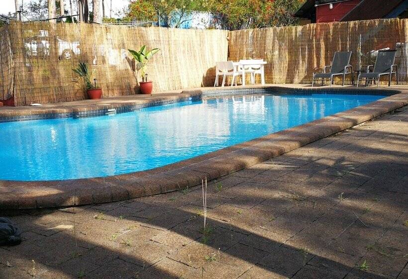 פנסיון Vineyard Hill