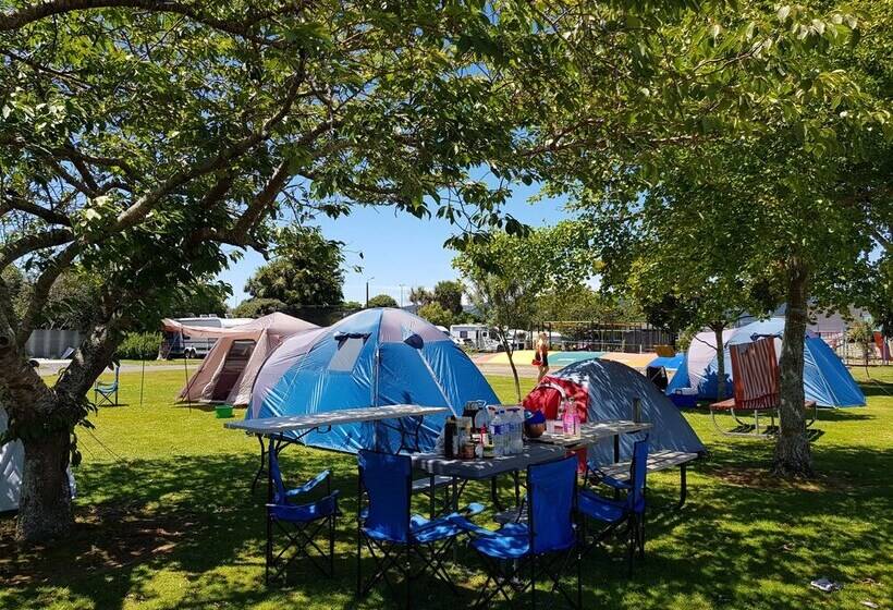 استراحتگاه Levin Top 10 Holiday Park