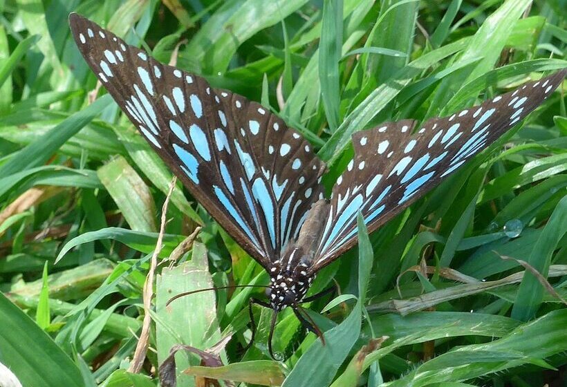 Sunshine Valley Cottages