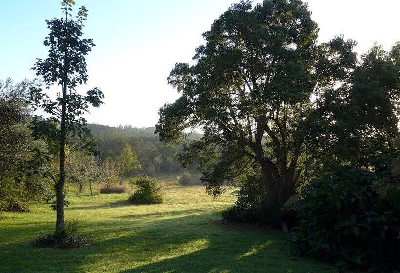 Wharepuke Subtropical Accommodation