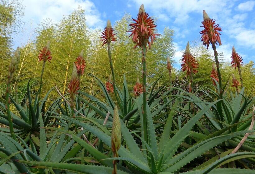Wharepuke Subtropical Accommodation