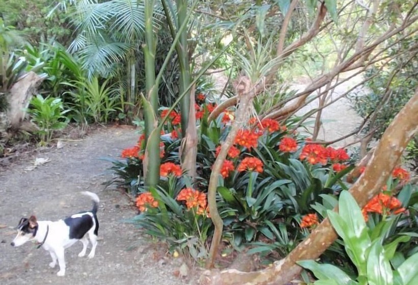 Wharepuke Subtropical Accommodation