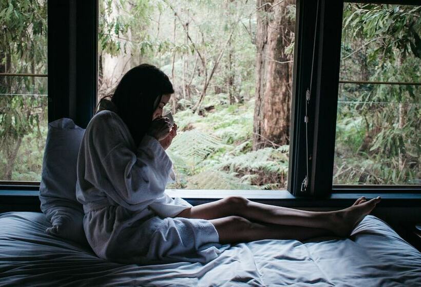 Woodlands Rainforest Retreat