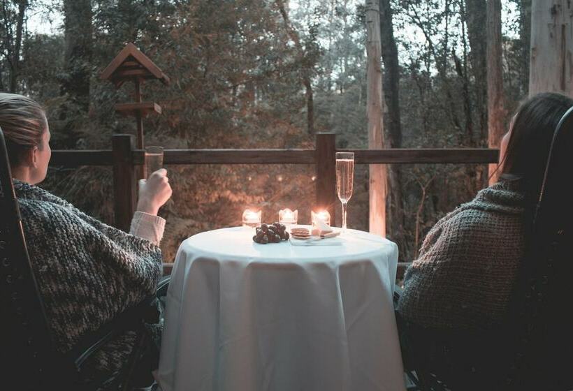 Woodlands Rainforest Retreat