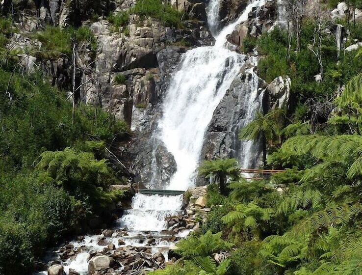 Woodlands Rainforest Retreat