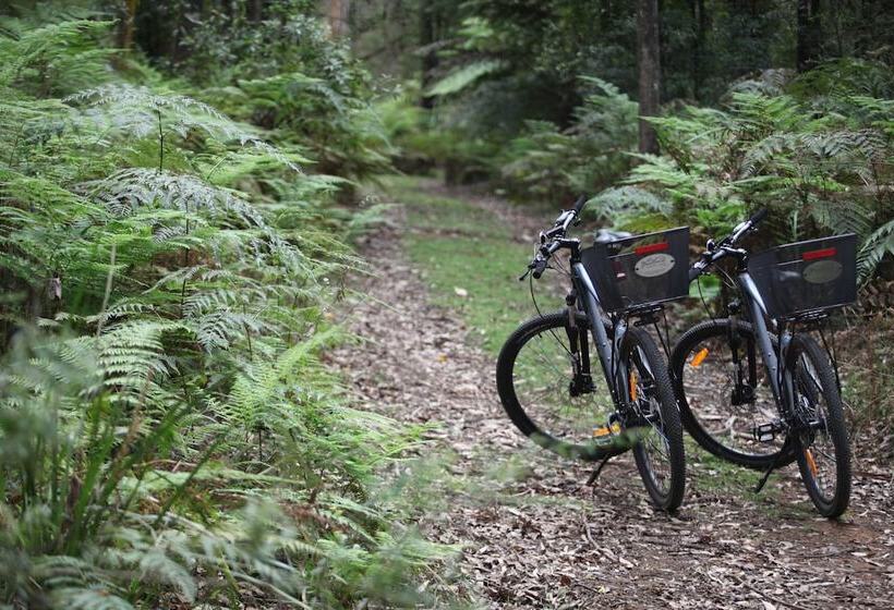 Woodlands Rainforest Retreat