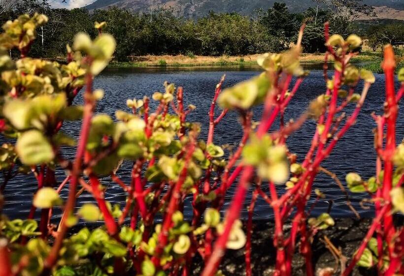 Colinas Del Miravalles