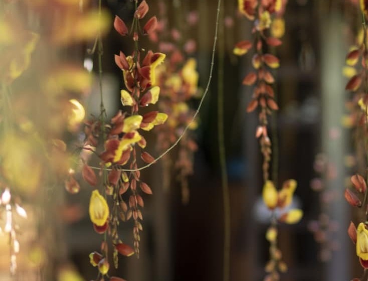 Colinas Del Miravalles