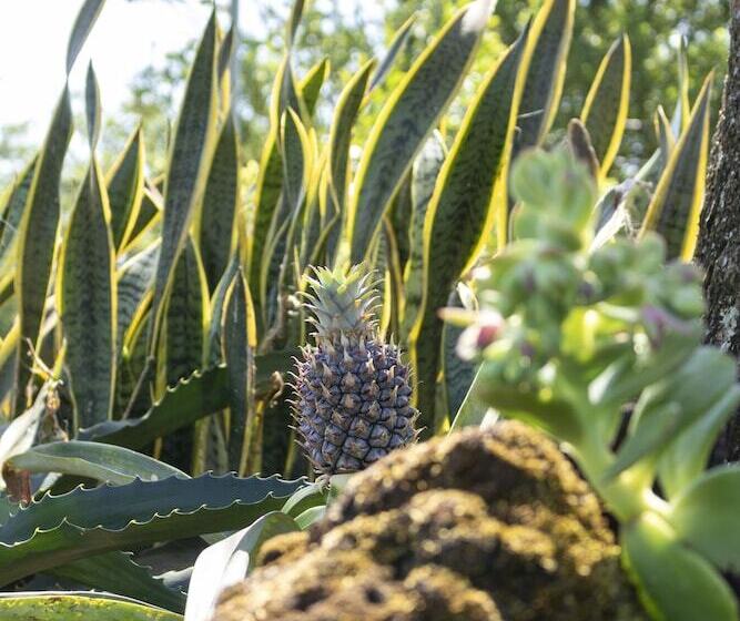 Colinas Del Miravalles