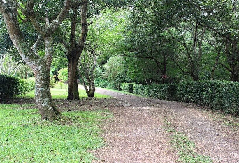 Colinas Del Miravalles