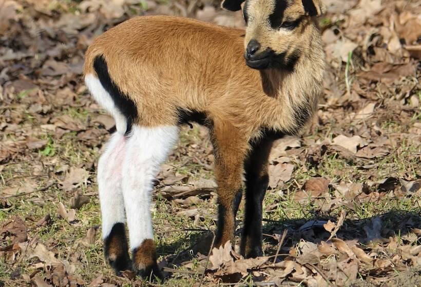 Dwór Prezydencki Boutique Hotel & Spa