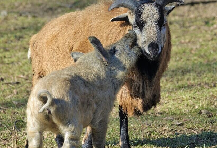 Dwór Prezydencki Boutique Hotel & Spa