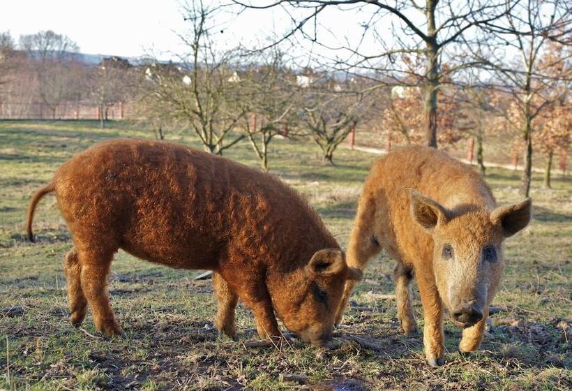 Dwór Prezydencki Boutique Hotel & Spa