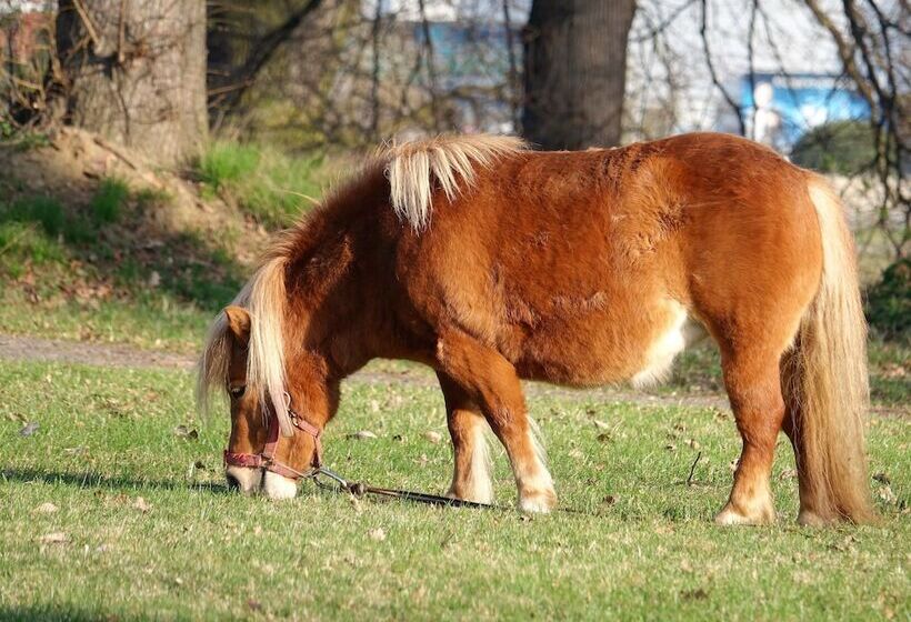 Dwór Prezydencki Boutique Hotel & Spa