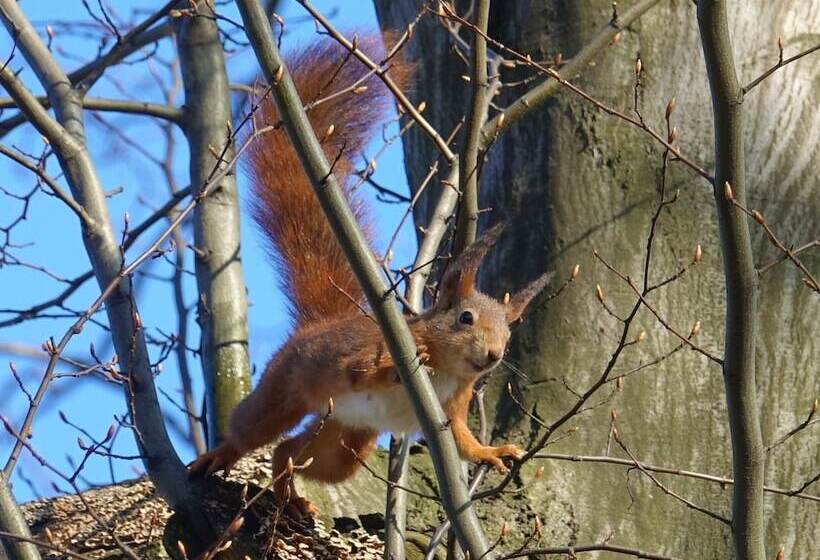 Dwór Prezydencki Boutique Hotel & Spa
