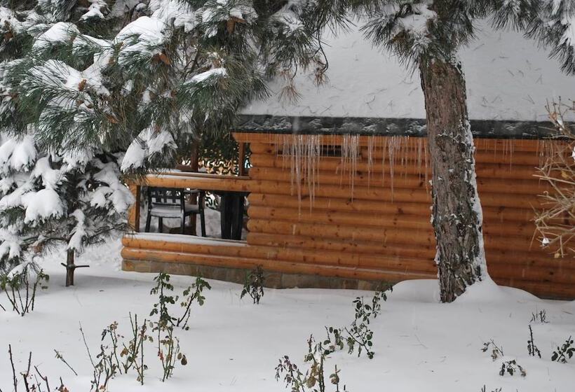 هتل Kompleks Otdykha Elki Palki