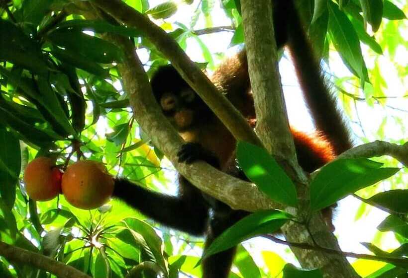 هتل Lagunavista Villas