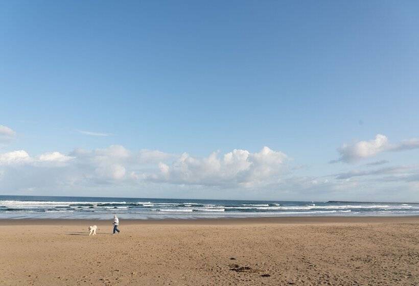 فندق Oceanside Beachfront Rv Resort