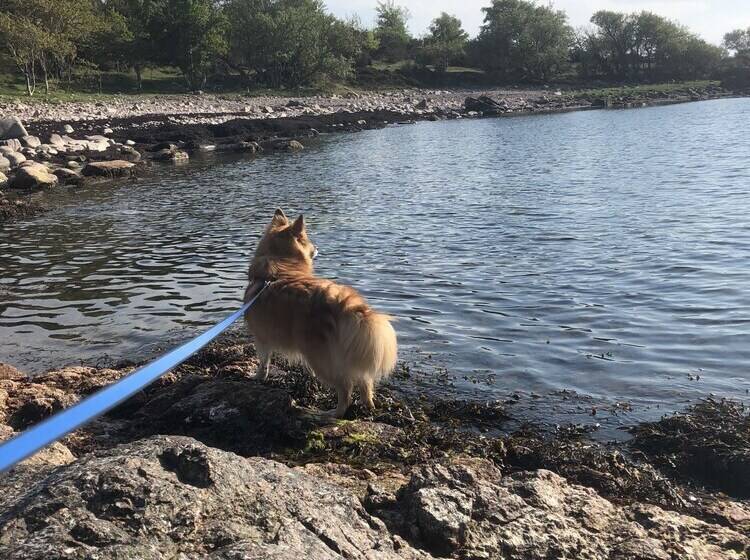 בית מלון כפרי Pension Sandbogaard