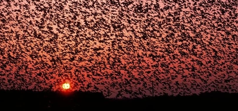 호텔 Rudbøl Grænsekro