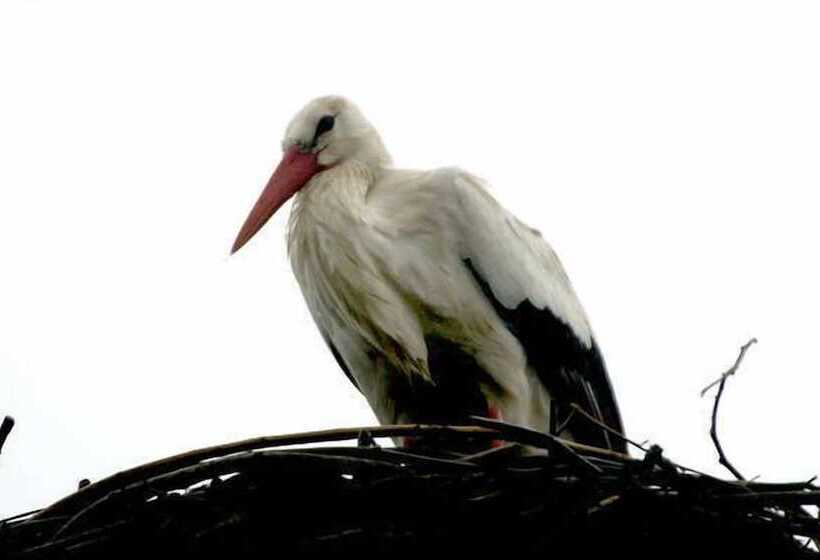 호텔 Rudbøl Grænsekro