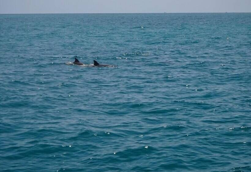 فندق Sail Florida Adventures