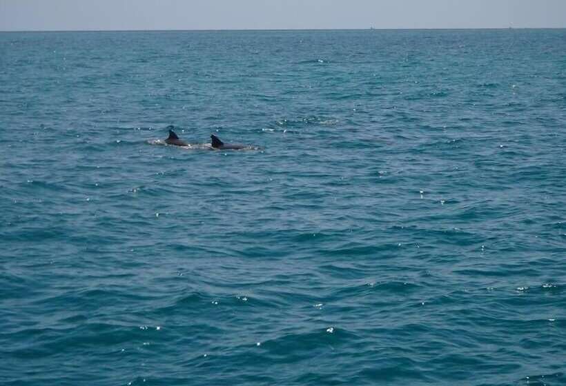 فندق Sail Florida Adventures