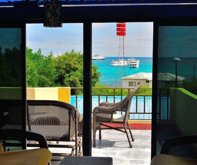 פנסיון Flightless Cormorant