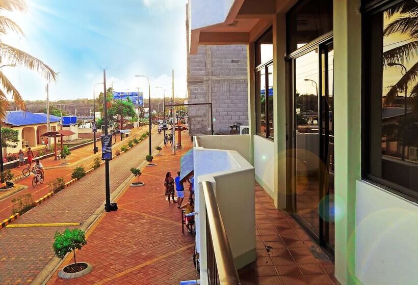 פנסיון Flightless Cormorant