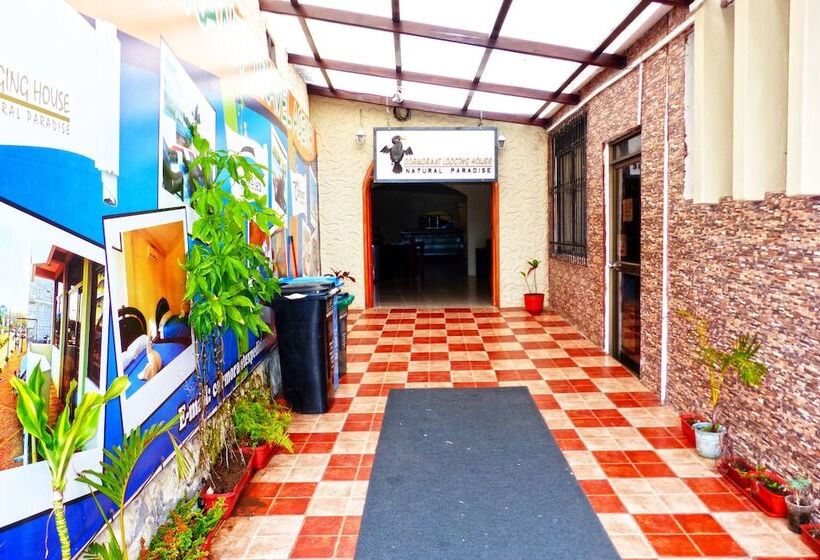 פנסיון Flightless Cormorant