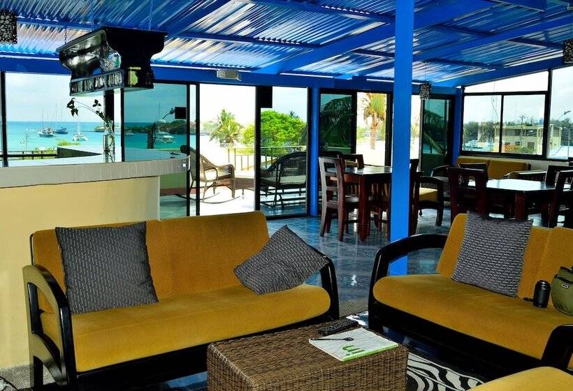 פנסיון Flightless Cormorant