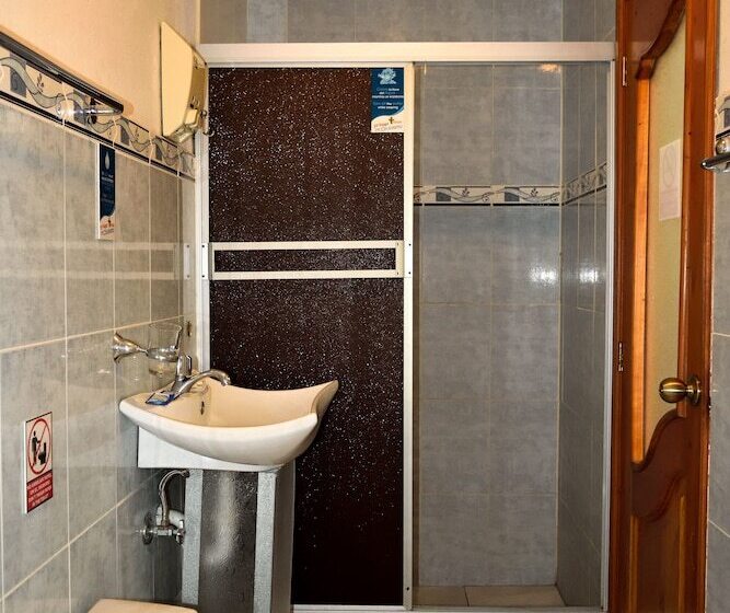 פנסיון Flightless Cormorant