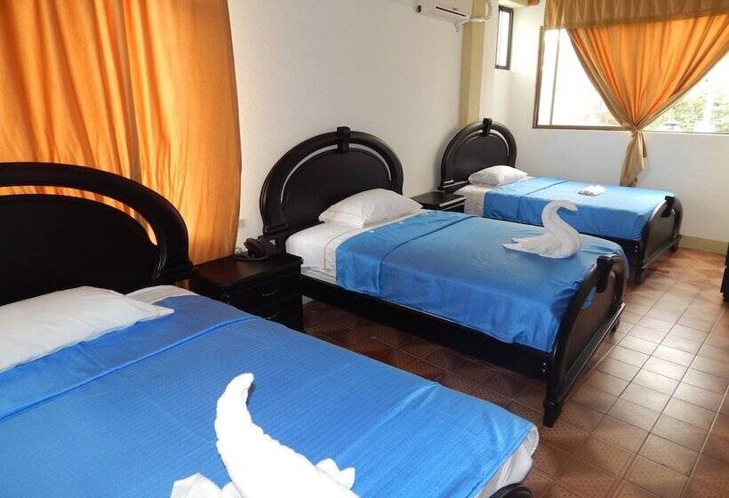 פנסיון Flightless Cormorant