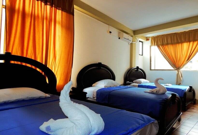 פנסיון Flightless Cormorant