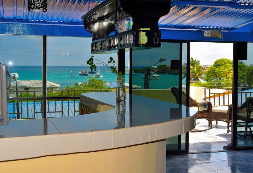 פנסיון Flightless Cormorant