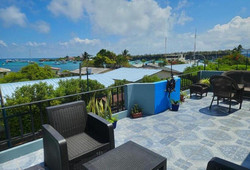 פנסיון Flightless Cormorant