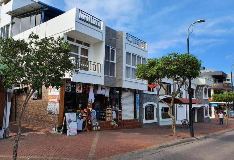 פנסיון Flightless Cormorant